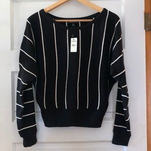 Express Stretchy Sweater